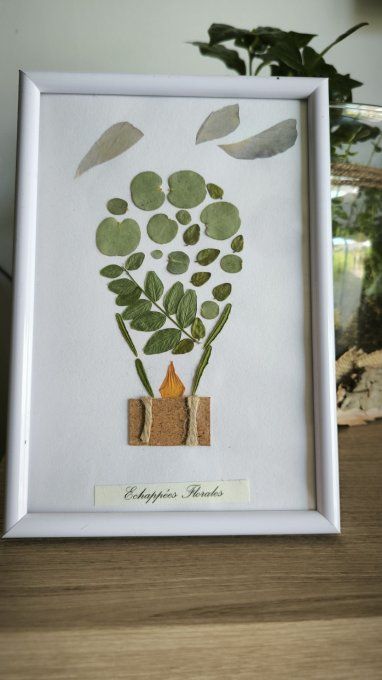Cadre herbier montgolfière