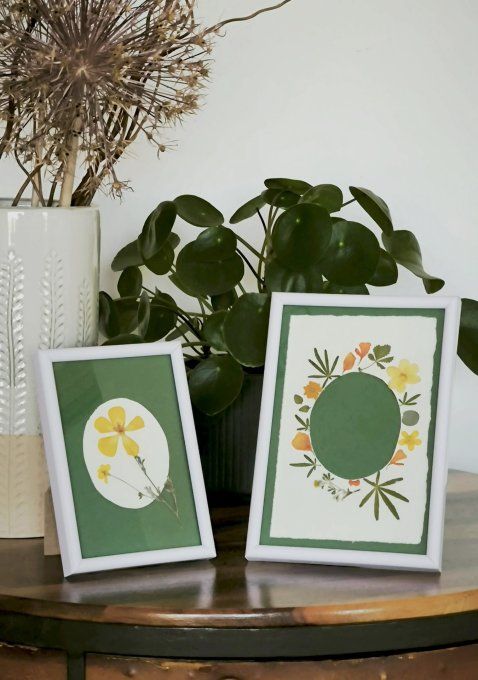 2 cadres herbiers (fond vert)