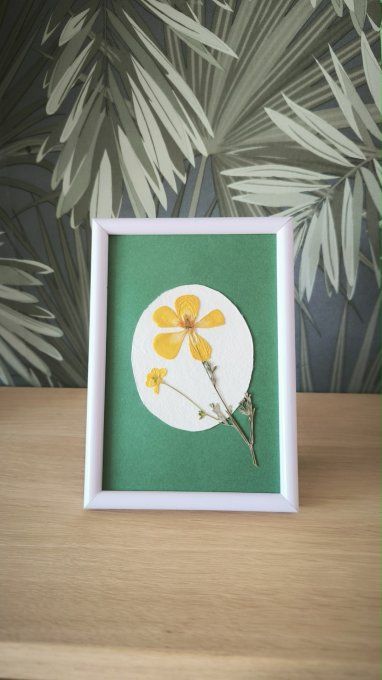 2 cadres herbiers (fond vert)