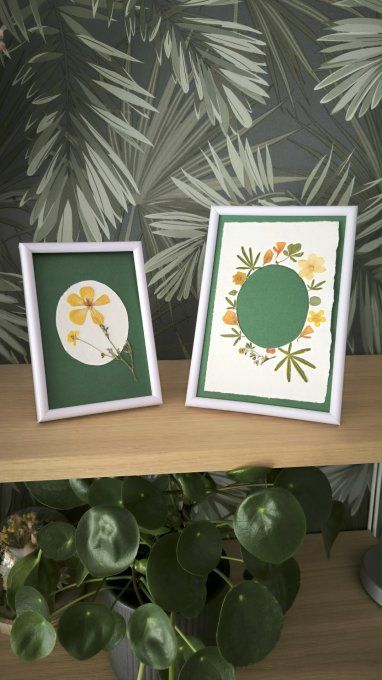2 cadres herbiers (fond vert)