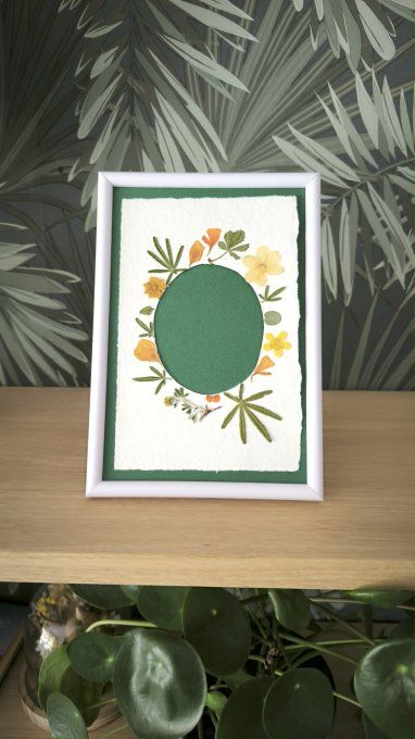 2 cadres herbiers (fond vert)